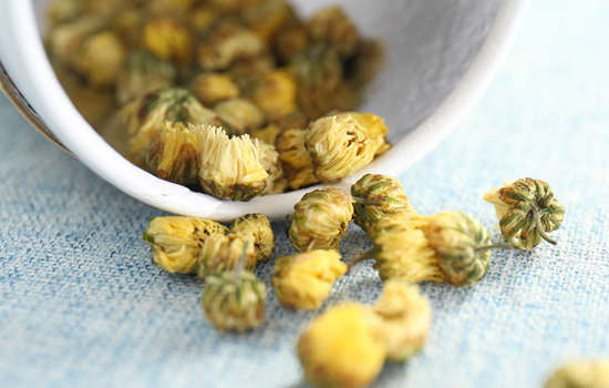 如何正确泡胎菊