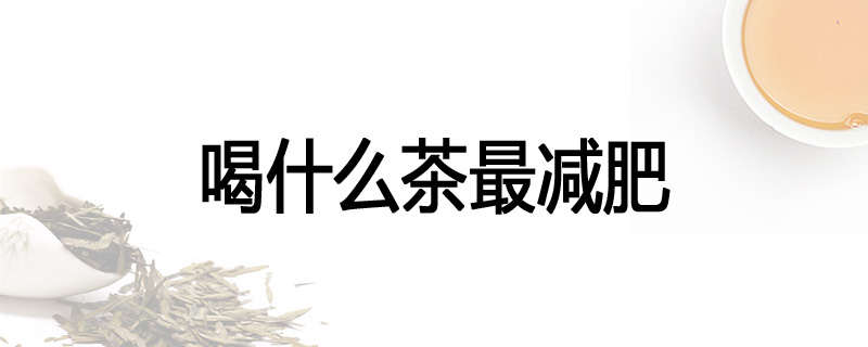 喝什么茶最减肥