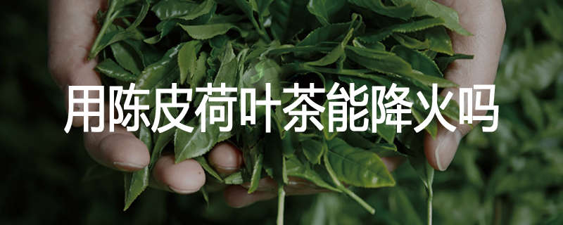 用陈皮荷叶茶能降火吗