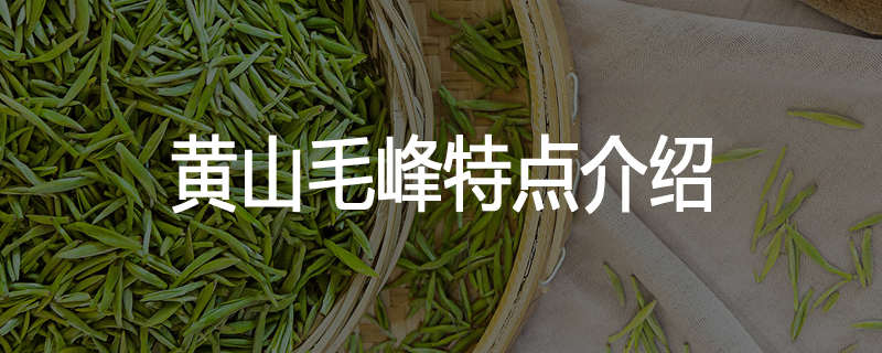 黄山毛峰特点介绍