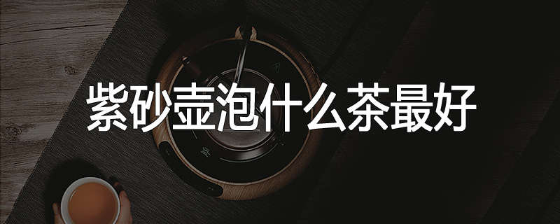 紫砂壶泡什么茶最好