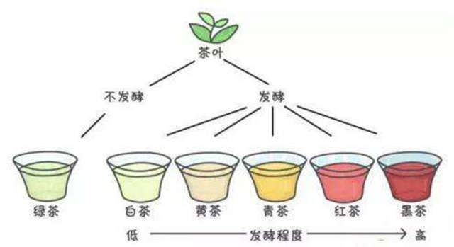 茶有哪些种类