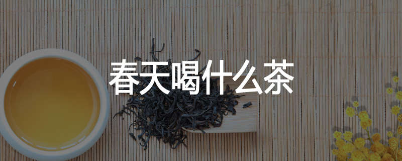 春天喝什么茶