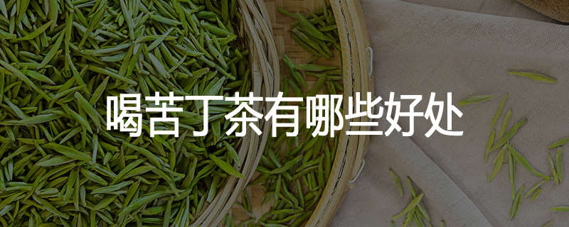 喝苦丁茶有哪些好处