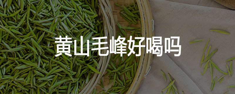 黄山毛峰好喝吗