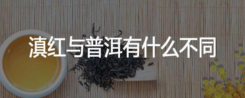 滇红与普洱有什么不同