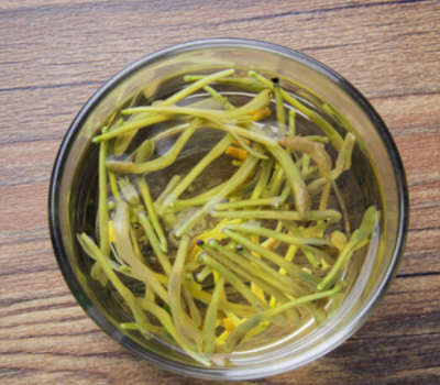 金银花茶属于凉性吗