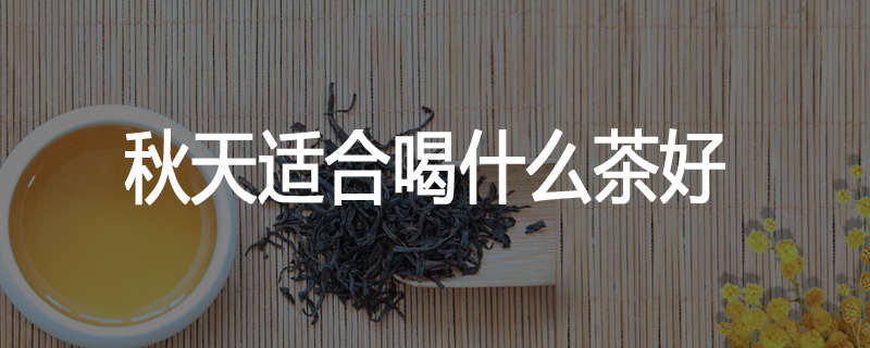 秋天适合喝什么茶好