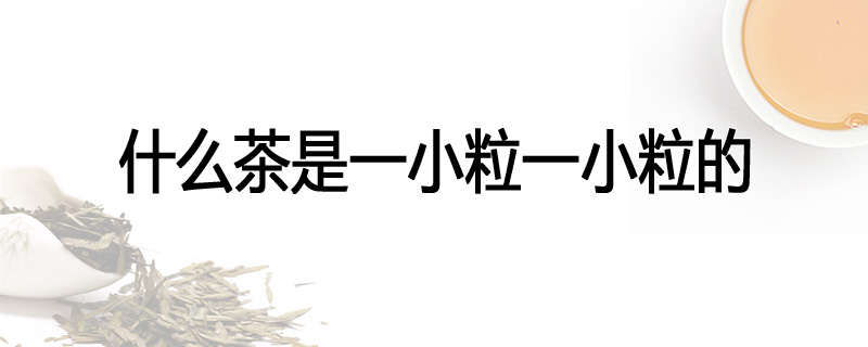 什么茶是一小粒一小粒的