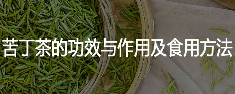 苦丁茶的功效与作用及食用方法