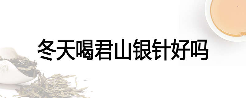 冬天喝君山银针好吗