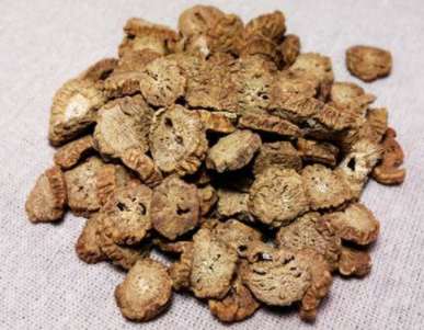 黄金牛蒡茶怎么喝