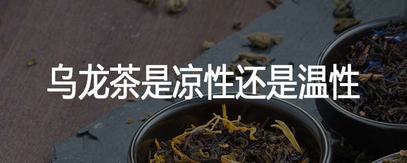 乌龙茶是凉性还是温性