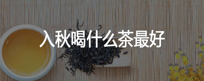 入秋喝什么茶最好