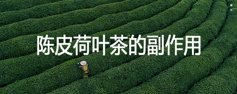 陈皮荷叶茶的副作用