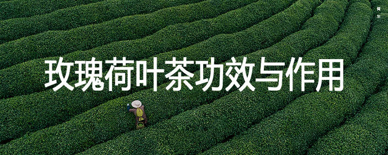 玫瑰荷叶茶功效与作用