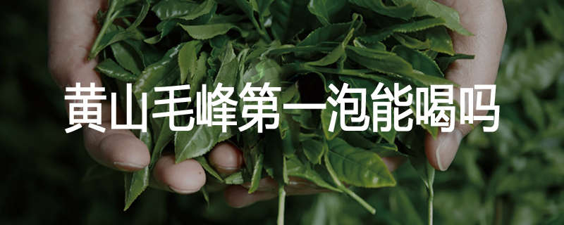 黄山毛峰第一泡能喝吗