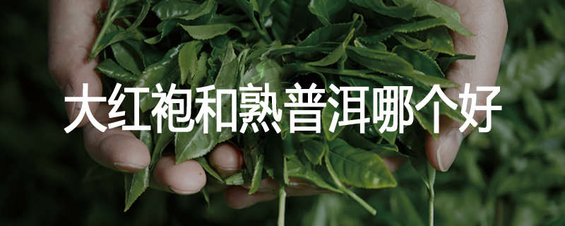 大红袍和熟普洱哪个好