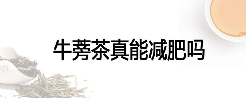 牛蒡茶真能减肥吗