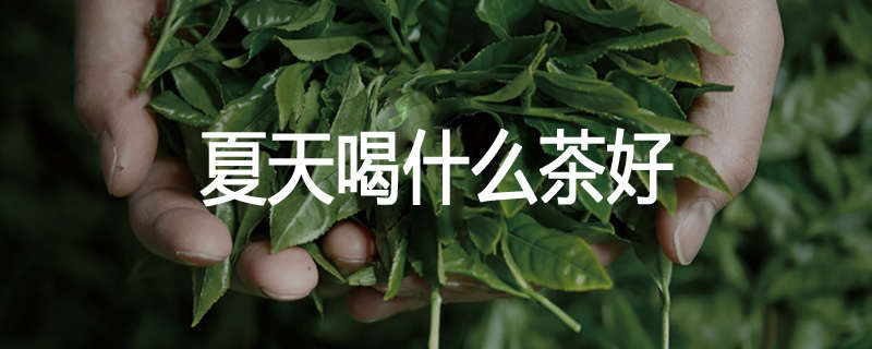 夏天喝什么茶好