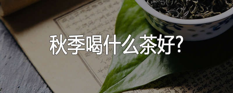 秋季喝什么茶好?