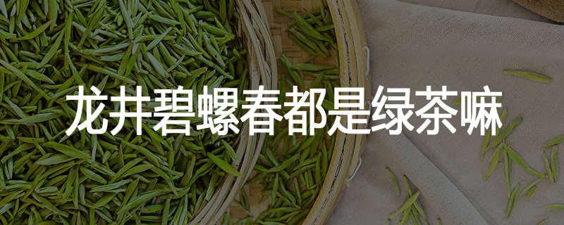 龙井碧螺春都是绿茶嘛