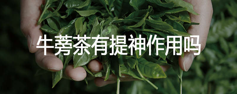 牛蒡茶有提神作用吗