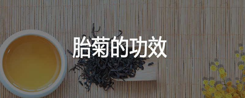 胎菊的功效
