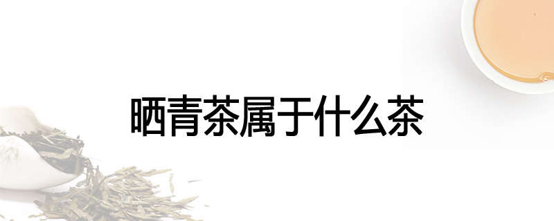 晒青茶属于什么茶