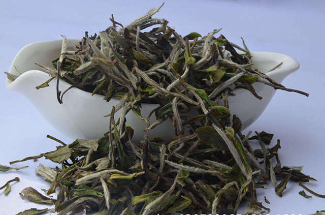 白牡丹能放多久