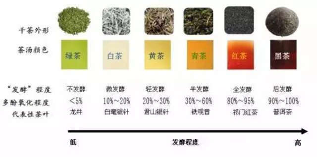 茶有哪些种类
