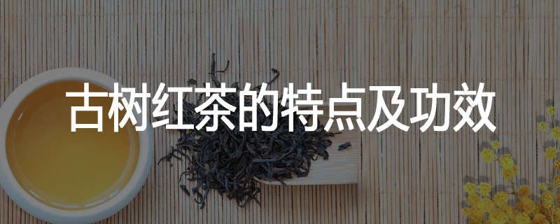 古树红茶的特点及功效