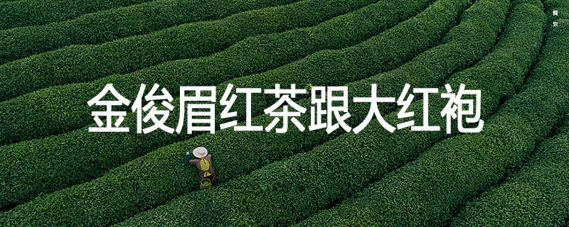 金俊眉红茶跟大红袍
