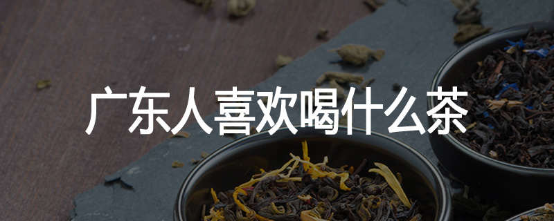 广东人喜欢喝什么茶