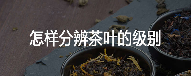怎样分辨茶叶的级别