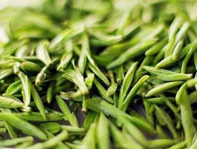 怎么判定茶叶好跟不好
