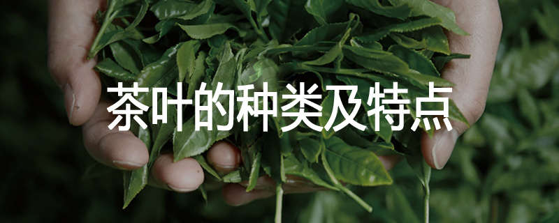 茶叶的种类及特点