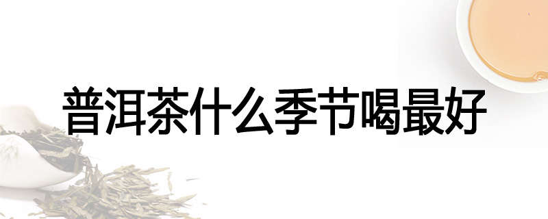 普洱茶什么季节喝最好