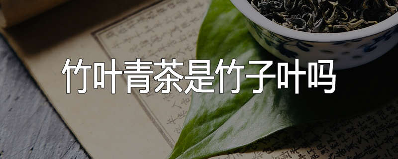 竹叶青茶是竹子叶吗