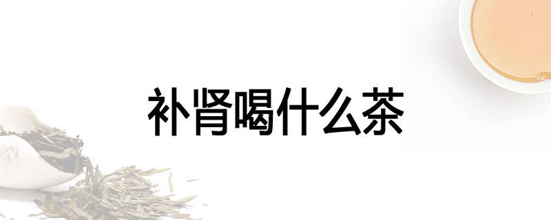 补肾喝什么茶