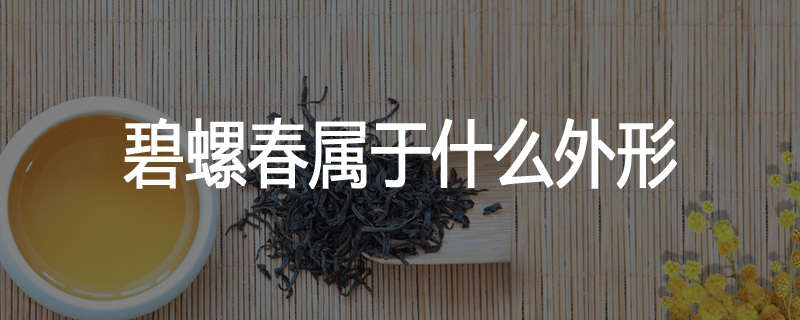 碧螺春属于什么外形