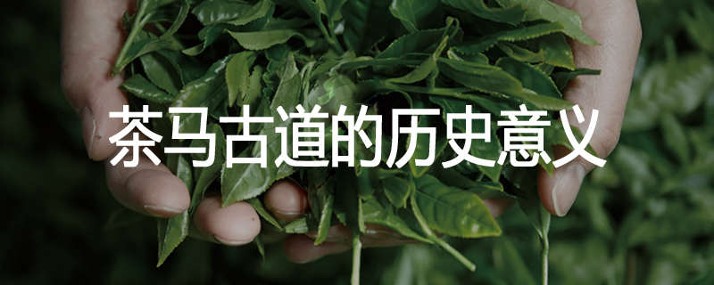 茶马古道的历史意义