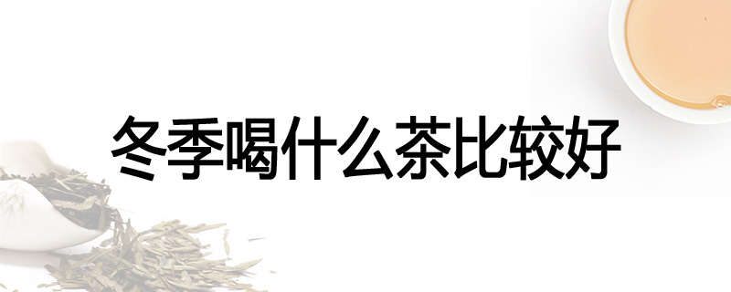 冬季喝什么茶比较好