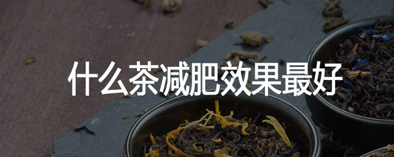 什么茶减肥效果最好