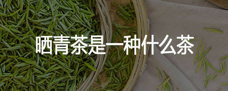 晒青茶是一种什么茶