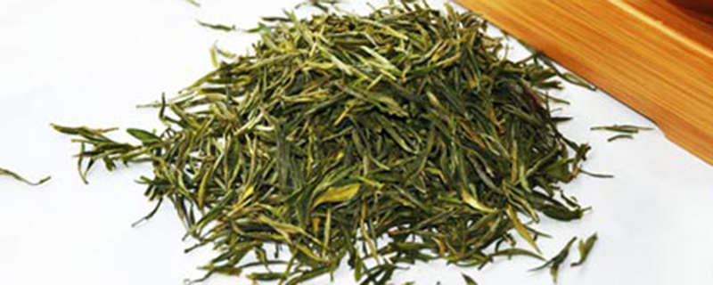 霍山黄芽是黄茶吗
