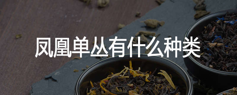 凤凰单丛有什么种类