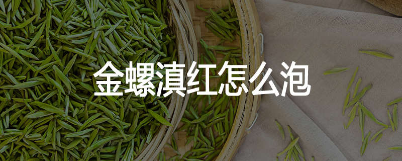 金螺滇红怎么泡