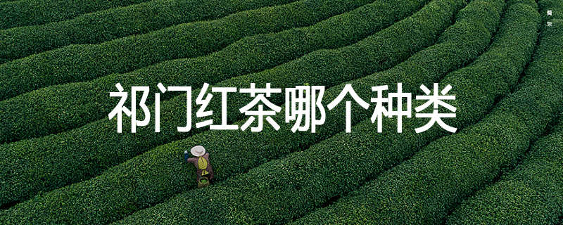 祁门红茶哪个种类