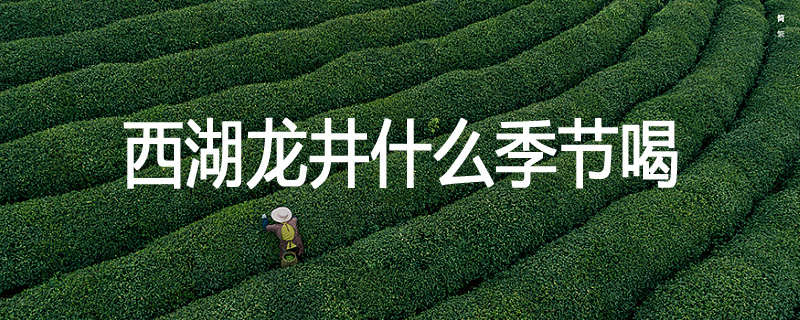 西湖龙井什么季节喝